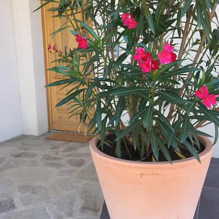 La Casa Soliam Villa Bonifacio (Corsica)