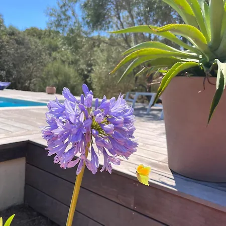 Villa La Casa Soliam *