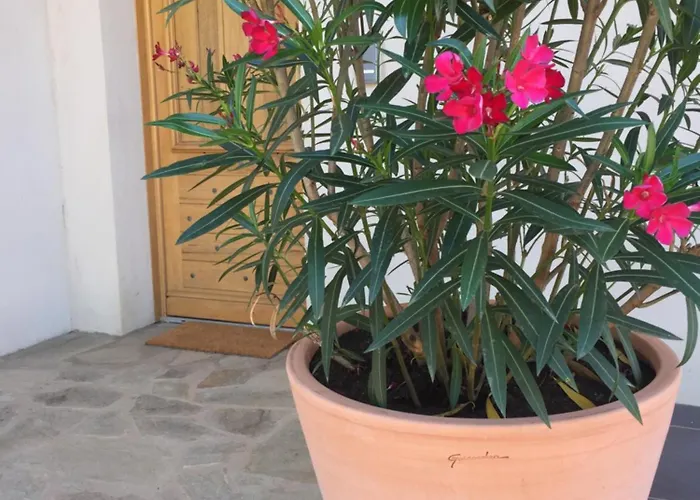 La Casa Soliam Villa Bonifacio (Corsica)