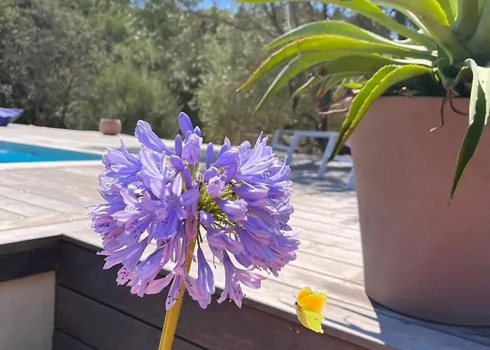 Villa La Casa Soliam *